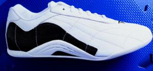 Discipline Martial Arts Shoes